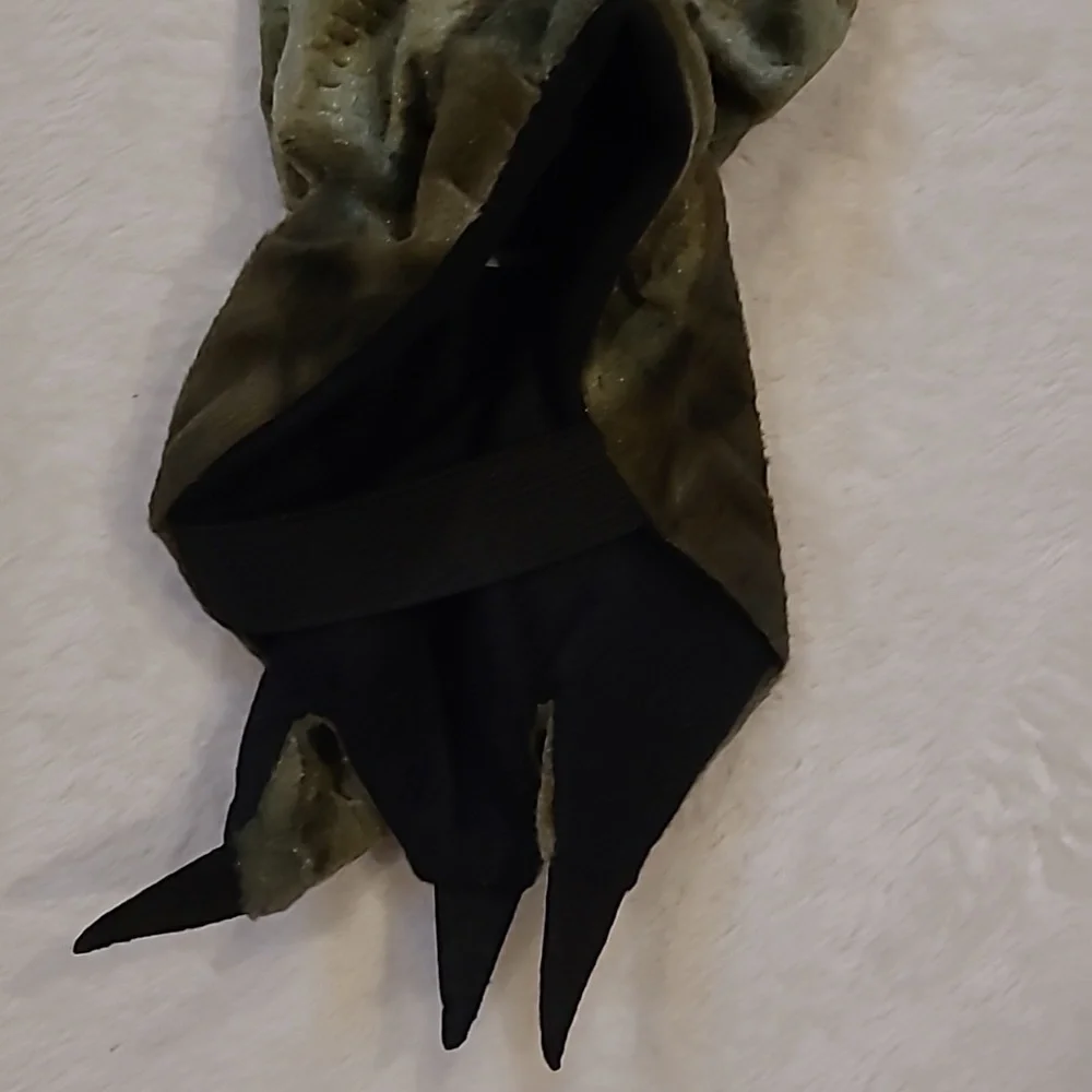 Dinosaur Or Dragon Costume Child XS 4/6?